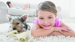 ZAŠTO NAJVIŠE VOLI JEDNU IGRAČKU Nauka ima objašnjenje zašto omiljena igračka psa zauzima posebno mesto u njegovom srcu