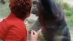 ZALJUBILA SE U ŠIMPANZU ALI IH DUŠMANI RAZDVOJILI Bili su zajedno 4 godine, a evo zašto su se rastali  (FOTO,VIDEO)