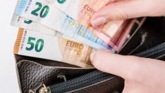 JEDNA BILJKA JE OBAVEZNA Ovih PET stvari stavite NOVČANIK, a pare će samo da se "lepe" za vas!