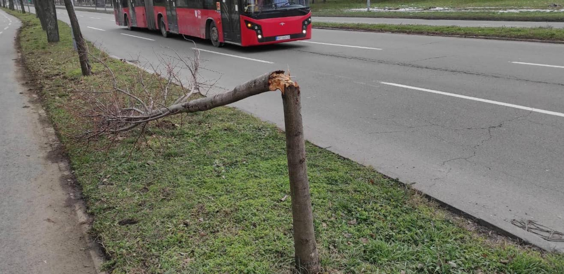 SVI "EKOLOZI" NIKOM PONIKOŠE I U CRNU ZEMLJU POGLEDAŠE Jeziva slika na Novom Beogradu: Kome smeta zeleni grad i čist vazduh?! (FOTO)