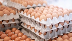 AKO U ŠKOLJKI PRIMETITE OVAKVO JAJE, NIPOŠTO NE KUPUJTE: Stručnjaci objašnjavaju da na taj ničin možete da se otrujete