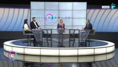 URBANISTIČKI PLAN NOVOG SADA Studija rađena godinu dana od strane 15 inženjera koji su sagledali sve aspekte uređenja Kameničke ade i Ribarskog ostrva