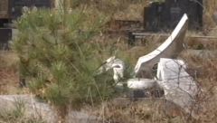 LOKALNI EKSTREMISTI GA OSKRNAVILI Očišćeno srpsko groblje u Đakovici