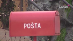 VELIKI ŠEF DONEO ODLUKU! Produkcija odmah reagovala, a zadrugari nisu krili oduševljenje!