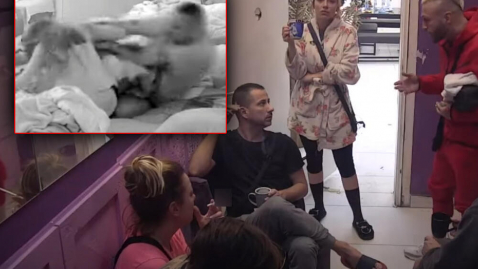 SAČUVAJ BOŽE, NEKA IDU SAMO! Zadrugari u šoku nakon što je Filip šutnuo i udario Dalilu, otkriveno šta je prethodilo brutalnom sukobu!