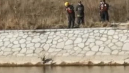 ISPLIVAO LEŠ IZ NIŠAVE Policija na licu mesta obavlja uviđaj