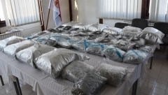 ZAPLENJENO 50 KILOGRAMA MARIHUANE U MLADENOVCU Policija uhapsila dve osobe prilikom primopredaje droge