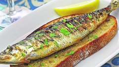 MOŽE I IZ KONZERVE Za oštar vid, jedite ovu ribu!