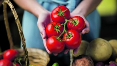 Imaju višestruku primenu: Iskoristite ubrus na ovaj način i povrće će dugo ostati sveže