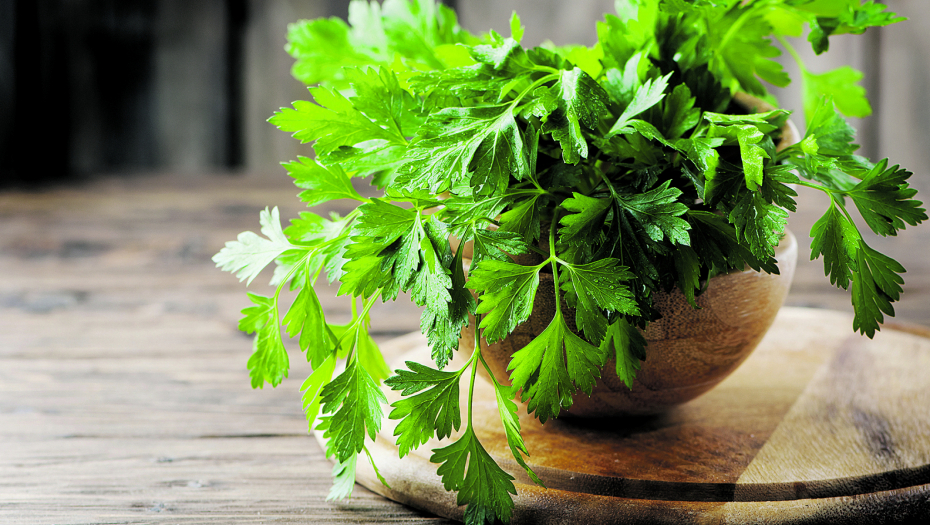 OVA BILJKA ČUVA ORGANIZAM Pomaže kod ekcema i svraba