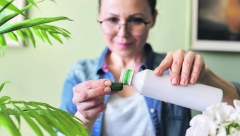 NAPRAVITE PRIRODNU PRIHRANU Sa ovim preparatom cveće će vam biti bujno i puno zelenila!