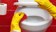 UKLANJA KAMENAC I NEČISTOĆE Samo ubacite ovo u wc šolju i sve će zasijati