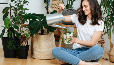 PO VEROVANJU OVE BILJKE IMAJU MAGIJSKU MOĆ Jedna privlači novac, druga štiti vaše muževe od žena!