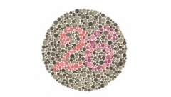 KOJI BROJ VIDITE NA SLICI? Ovaj test može da otkrije da li imate problema sa vidom