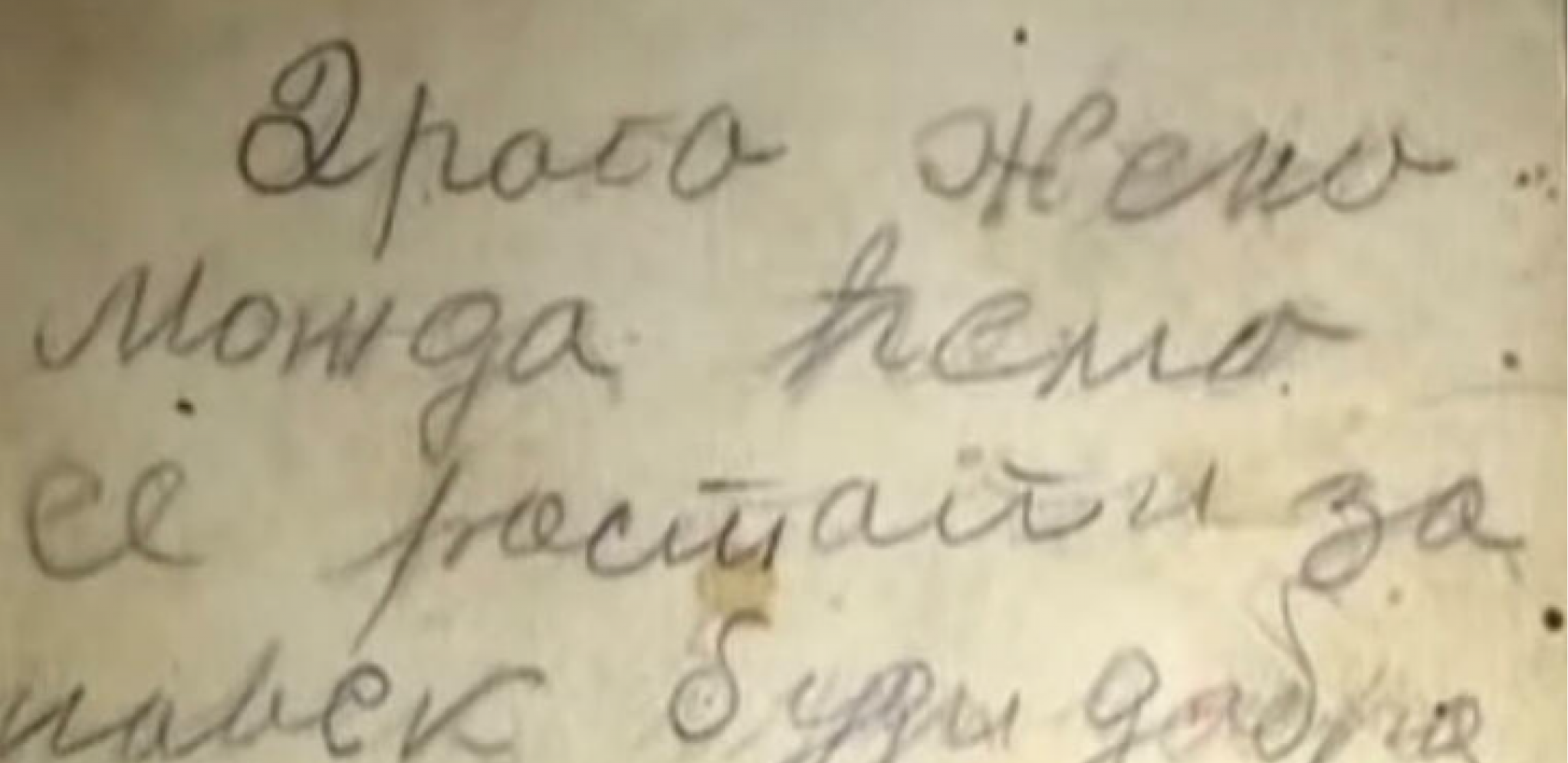 ZBOGOM, MIRO, BUDI SREĆNA I BEZ TATE Ovo su poslednje poruke mučki streljanih u Šumaricama, oproštajna pisma roditelja (VIDEO)