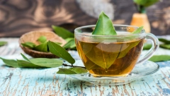 RECEPT ZA SIRUP OD LOVORA Narodni lek koji umiruje kašalj, a odmah možete da ga pijete!