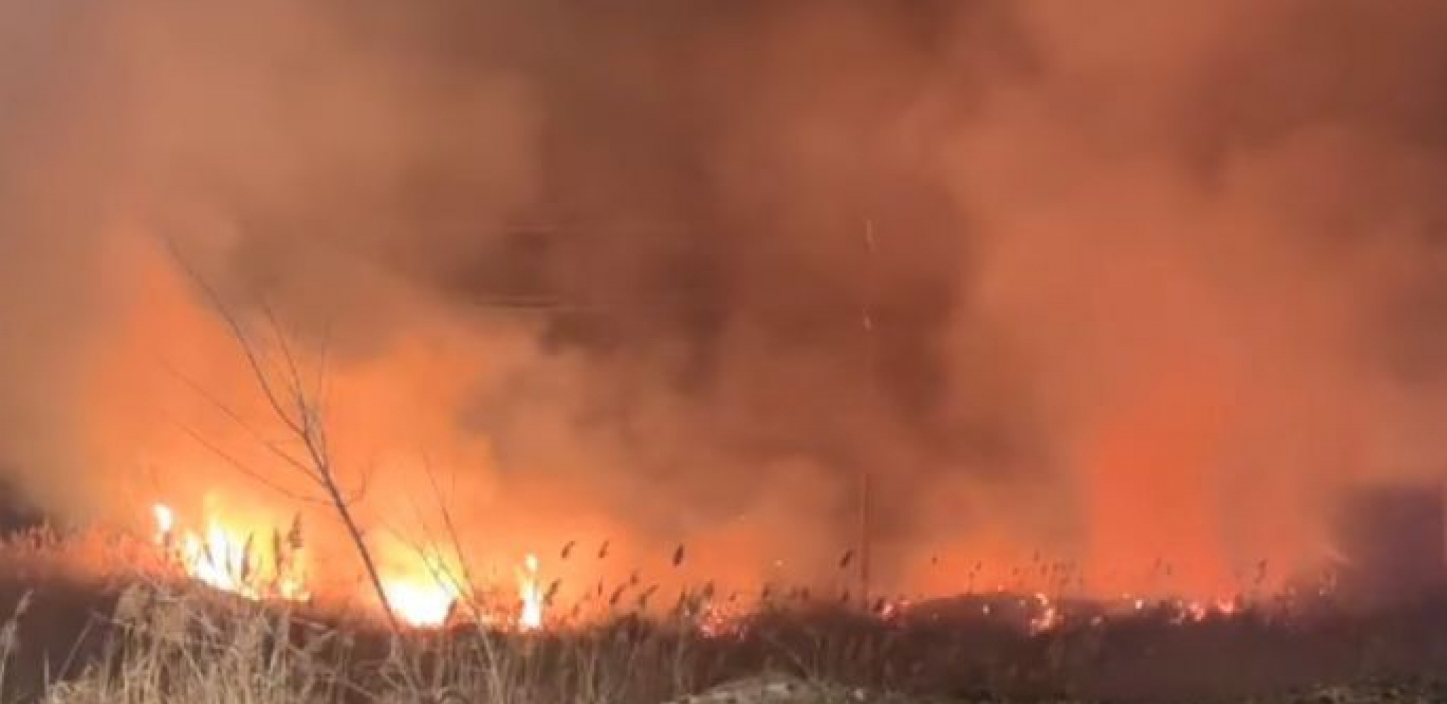 POVEĆAN BROJ POŽARA Apel građanima da ne spaljuju nisko rastinje na otvorenim prostorima!