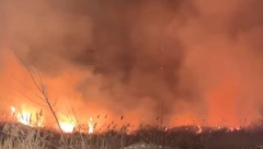 POŽAR NA ČUKARICI Vatrogasci pronašli beživotno telo