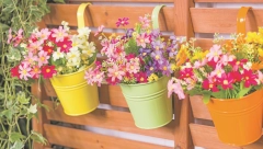 ODABERITE PRAVE SAKSIJE ZA SVOJE BILJKE Nije bitna samo estetika