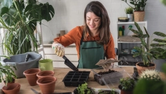 OD SEMENKE DO CVETIĆA  Početak proleća donosi mogućnost da u svojim baštama posadite različite biljke i uživate u njihovom rastu