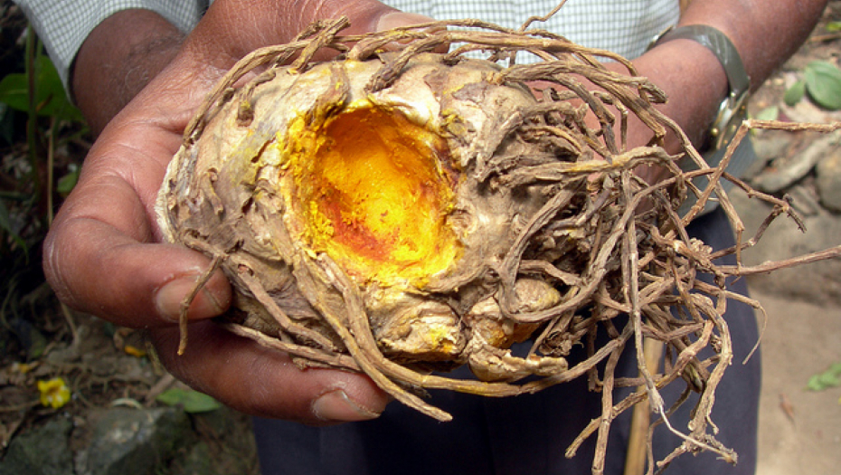 RECEPT STAR 2 HILJADE GODINA Smesa ova tri sastojka je uspešno prevenira rak i usporava rast malignih ćelija