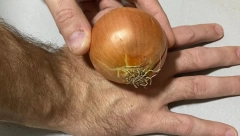 PRISLONITE CRNI LUK NA RUKU Sačekajte pet minuta i ostaćete u čudu - njegov učinak je neverovatan po zdravlje