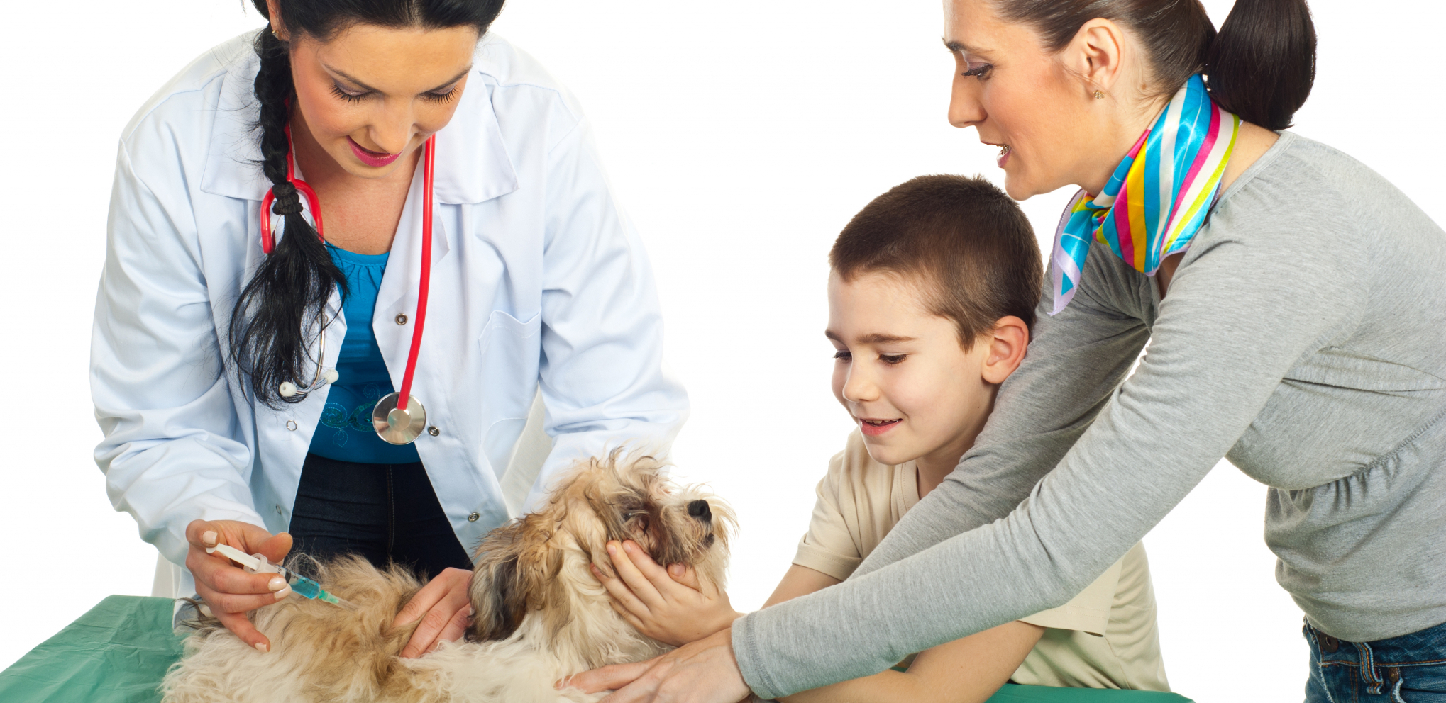 SAVETI VETERINARA Zašto ne treba šišati kućne ljubimce i koje lekova treba izbegavati
