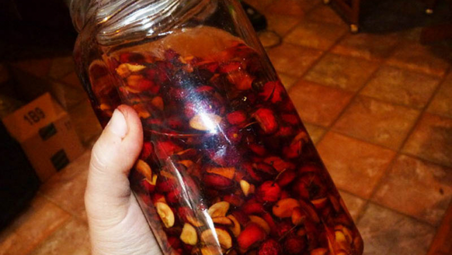 ZA NJU KAŽU DA DIŽE IZ MRTVIH Ovo je najlekovitija biljka na svetu