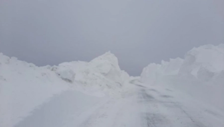 VIC DANA Ode Srbin u Ameriku i pitaju ga...