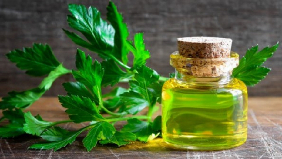 Ima izbeljujuća i regenerativna svojstva: Recept za losion od peršuna