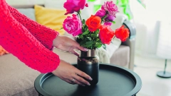 DONOSE LJUBAV, SREĆU I ZDRAVLJE Ove tri prelepe biljke obavezno imajte u svom domu