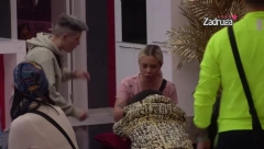 NOVI SUKOBI! Dizdarević napravio opštu pometnju između Matore i Aleks, brutalno bio iskren i rekao im ovo!