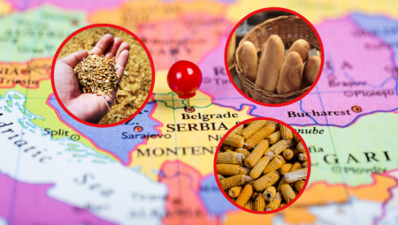 U SRBIJI NEĆE BITI NESTAŠICE HRANE I POSKUPLJENJA KAO U DRUGIM ZEMLJAMA Pšenice imamo za godinu dana, kukuruza za deset meseci!