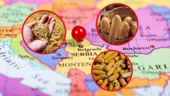 SUMORNE PROGNOZE Zbog rata u Ukrajini hrana u celom svetu bi mogla da poskupi 20 odsto