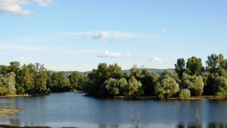 BIZARNO! ISPUMPAO VODU IZ JEZERA DA BI PRONAŠAO TELEFON Vladin zvaničnik iz Indije suspendovan, javnost u šoku!