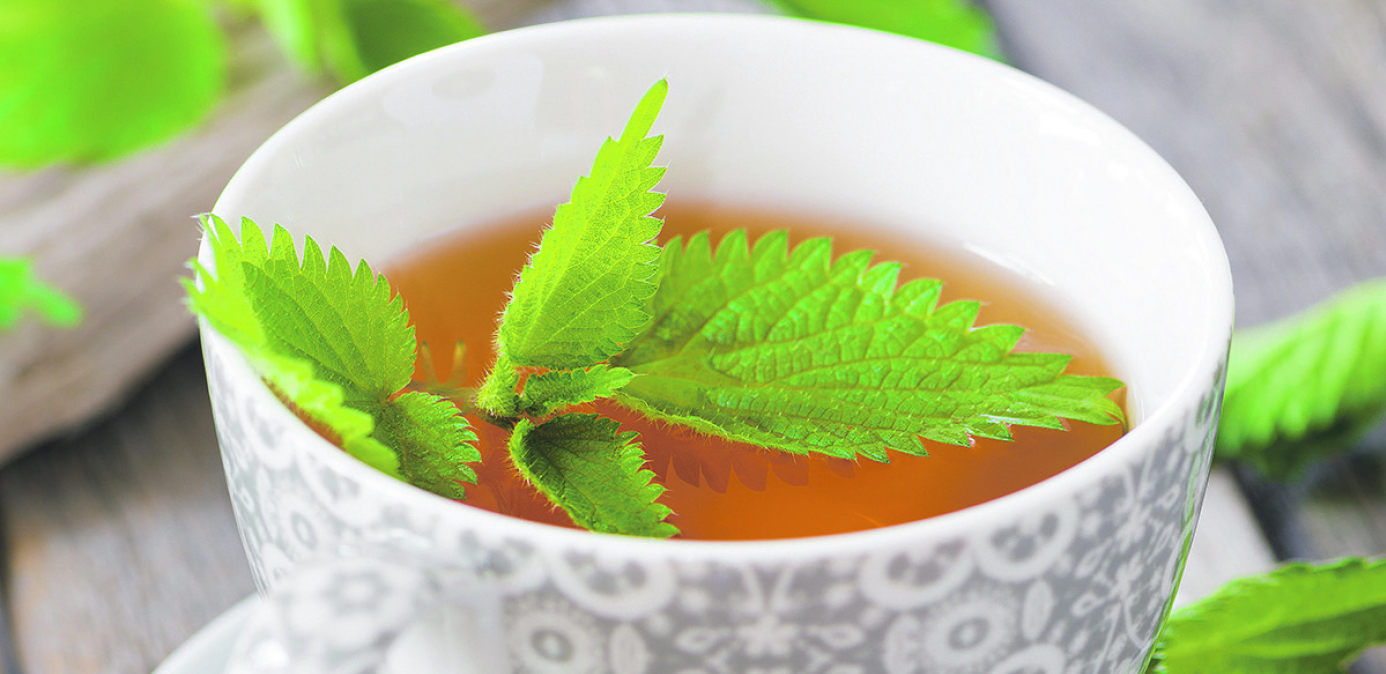 SVE DOBROBITI ČAJA OD KOPRIVE Čisti krvne sudove i jača organizam