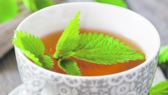 KAKO SE ODVIĆI OD KAFE? Travar Antonijević otkriva idealno rešenje - čaj od koprive