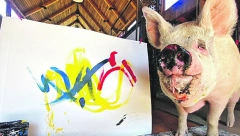 NJEGOVI RADOVI SU U GALERIJAMA ŠIROM SVETA Prasence slika za Ukrajinu