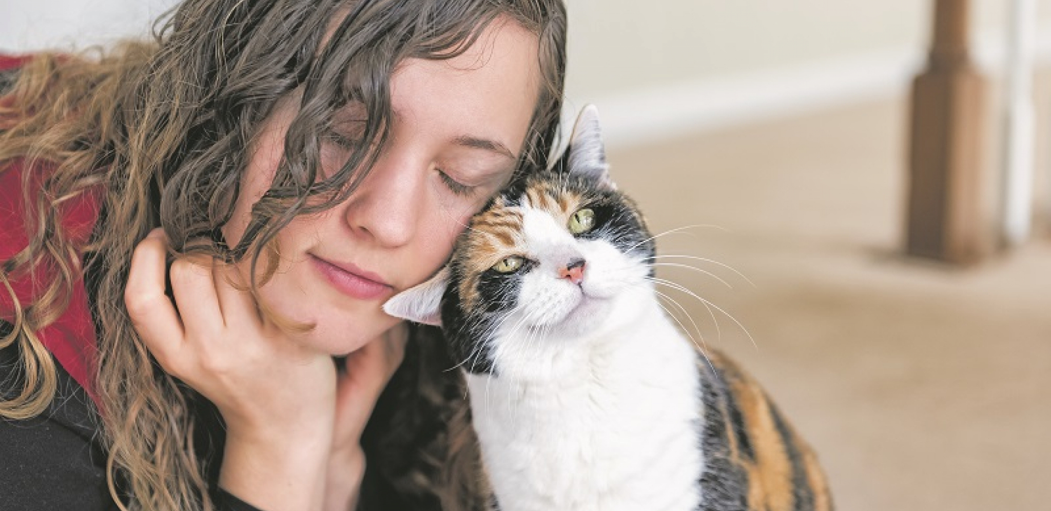 STRUČNJACI DALI ODGOVOR Evo zašto mačke vole da se trljaju