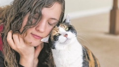 STRUČNJACI DALI ODGOVOR Evo zašto mačke vole da se trljaju