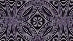 ONO ŠTA PRVO PRIMETITE NA SLICI OTKRIVA KAKO RADI VAŠ MOZAK: U pitanju su dve životinje, da li ih vidite?