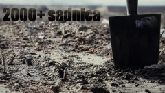 U KOVAČICI JE SUTRA POSEBAN DAN U najvećoj akciji sadnje biće zasađeno 1.000 stabala lipe, jasena i javora, kao i 1.000 sadnica niskog rastinja!