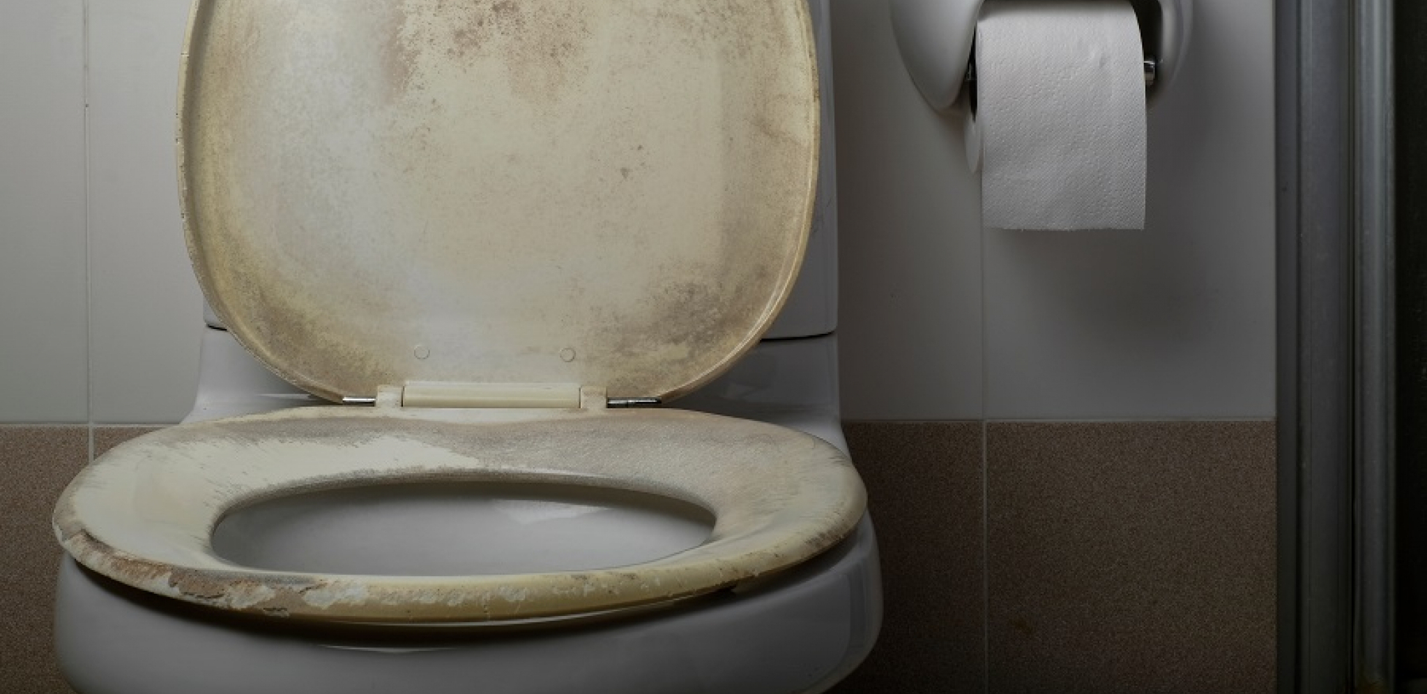 VIC DANA Šta godišnjica braka i WC šolja imaju zajedničko?