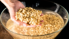 ZA MANJE OD SAT VREMENA Uz ovaj trik pasulj se najbrže kuva