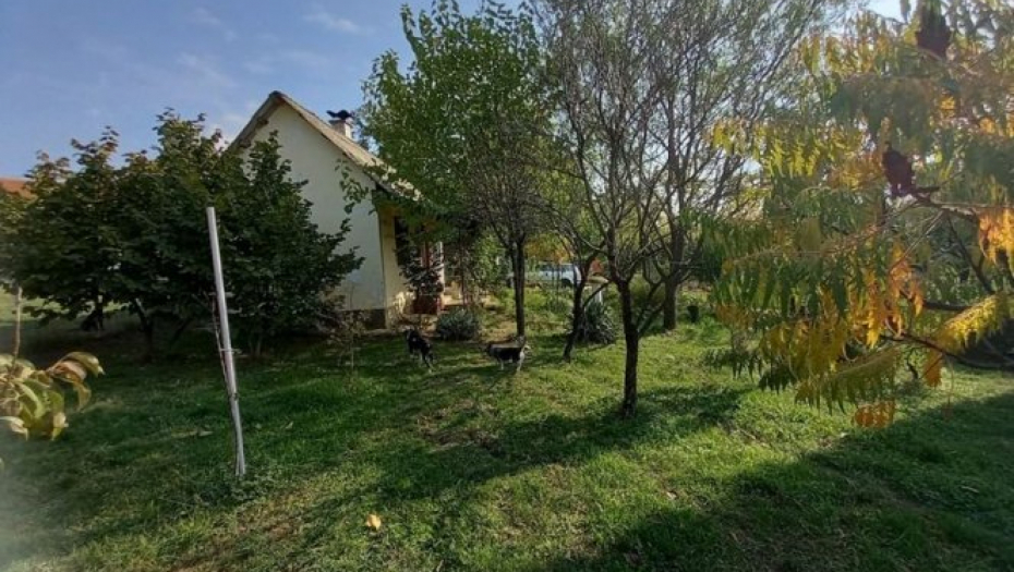 POTPUNO BESPLATNO! Nadomak Beograda Angelina daje plac sa dve kuće, samo je potrebna ljubav prema ovome (FOTO)