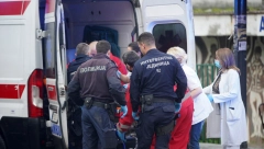 UŽAS U PREŠEVU! Čopor pasa izujedao devojčicu, primljena u bolnicu sa teškim povredama glave