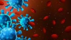 KINEZI OTKRILI NOVI VIRUS Prenosi se sa životinja na ljude, a izaziva naglo gubljenje kilograma