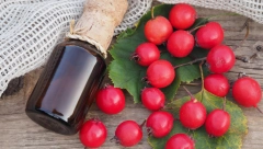 NAPRAVITE SAMI DOMAĆI SIRUP Najlekovitija biljka na svetu kod nas raste kao korov, najviše će pomoći ljudima koji su doživeli INFARKT (RECEPT)