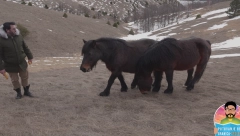 MOMENAT ZA PAMĆENJE Dragiša se spremio za sve izazove na planini Stolovi, ali onda je usledilo nešto neverovatno