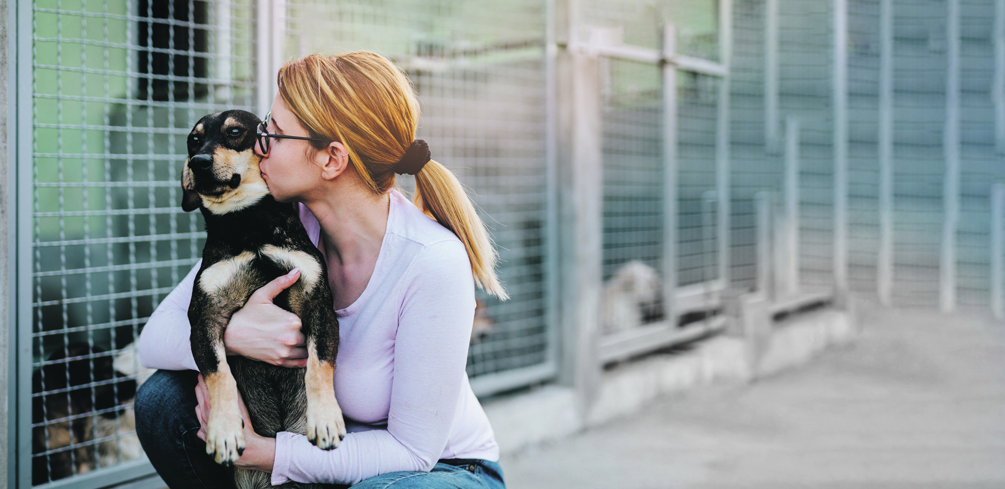 LJUBAV I STRPLJENJE Pomozite svom psu da lakše prebrodi strahove koje je navukao